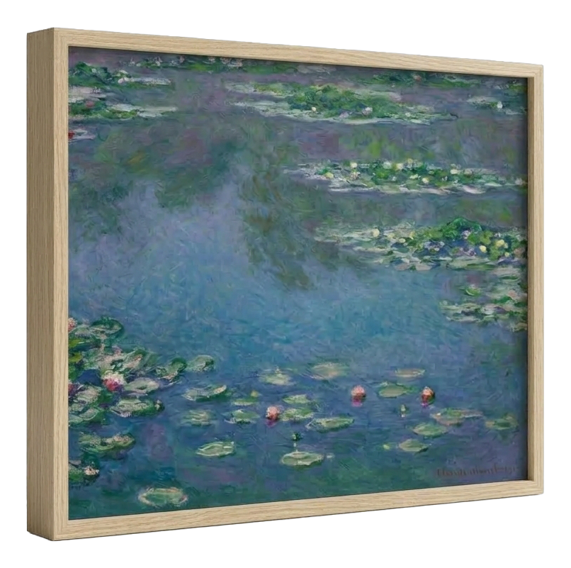 Water Lilies